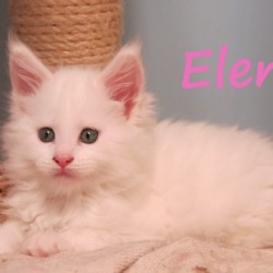 Elena